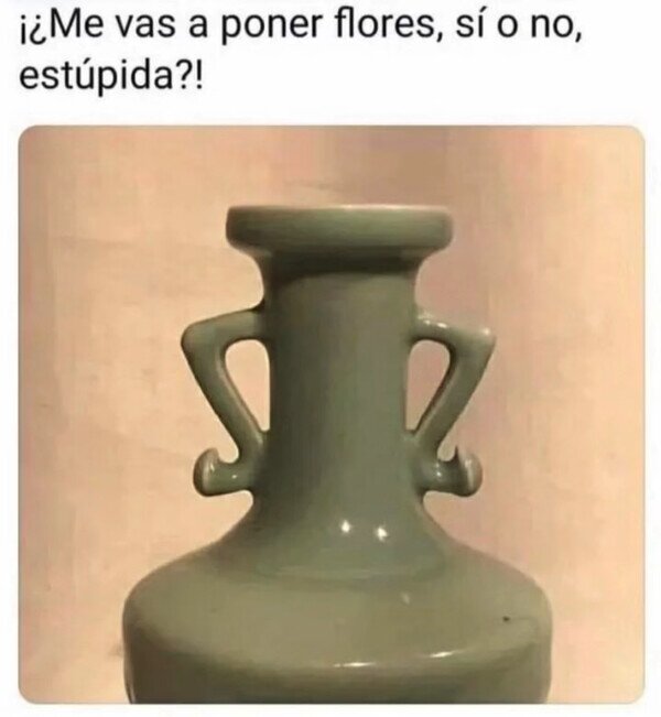 jarr&oacute;n,brazos,flores