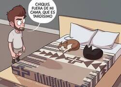 Enlace a Ellos mandan