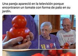 Enlace a Esa es la noticia