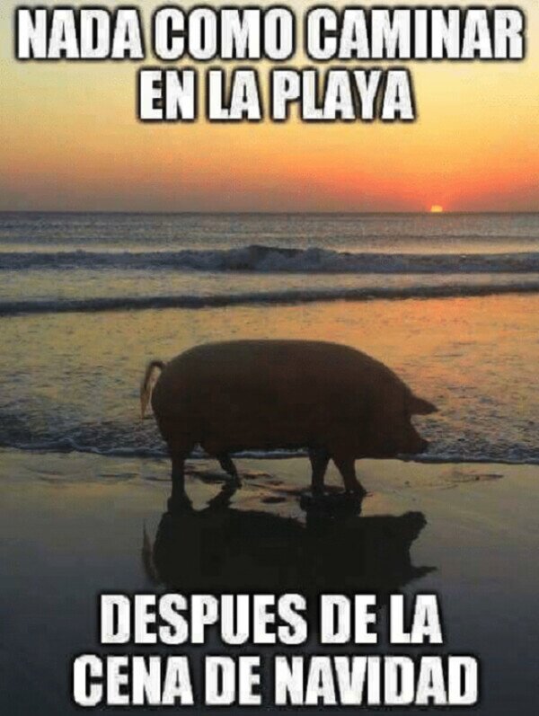 navidad,comida,paseo,playa,cerdo