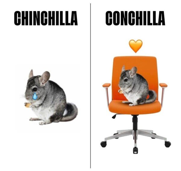 Meme_otros - La tontería del día