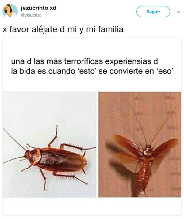 Meme_otros - El mayor temor del ser humano