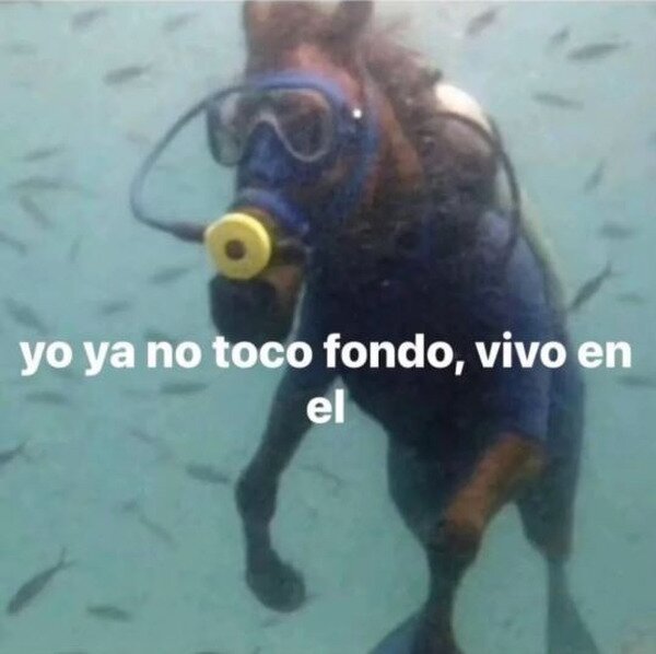 Meme_otros - Por lo menos sigo vivo