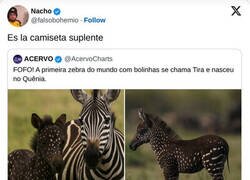 Enlace a Esta cebra iba con la alternativa