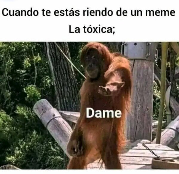 Otros - ¿Memes? ¿Quién es esa?