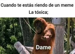 Enlace a ¿Memes? ¿Quién es esa?