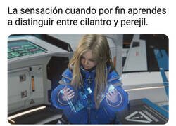 Enlace a El conocimiento es poder