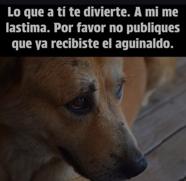 Otros - Estas fiestas no lo hagas