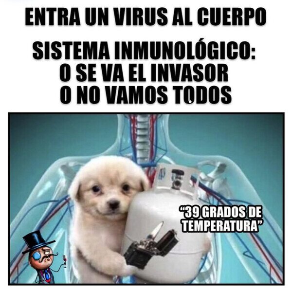 Mi sistema no negocia con terroristas temperatura,sistema,cuerpo,virus
