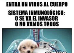 Enlace a Mi sistema no negocia con terroristas