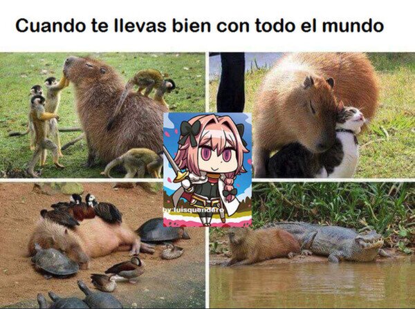 Meme_otros - A nadie le pueden caer mal los capibara