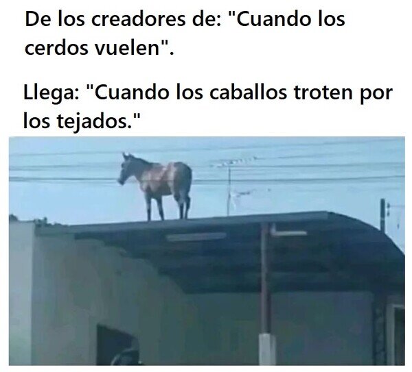 Meme_otros - Próximamente el estreno de una nueva expresión