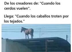 Enlace a Próximamente el estreno de una nueva expresión