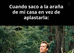 Enlace a El amigo de los animales