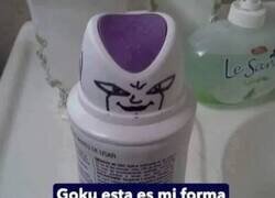 Enlace a Esta forma le proporciona una protección de 24 horas