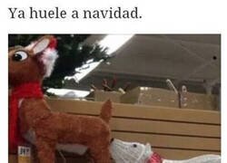 Enlace a Se huele el espíritu navideño