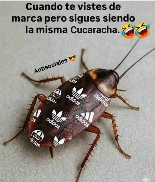 cucaracha,vestir,marcas
