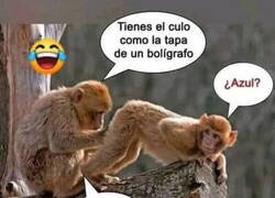 Enlace a Como la tapa de un bolígrafo