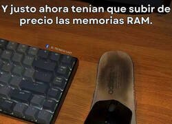 Enlace a No estoy para caprichos