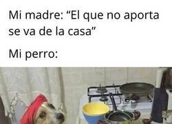 Enlace a El Firulais aportando