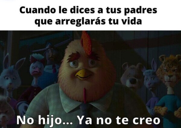 padres,hijo,arreglar,vida,creer