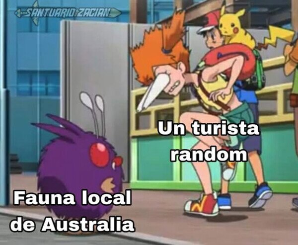 fauna,Australia,turista