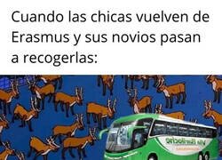 Enlace a Convención de cuernos