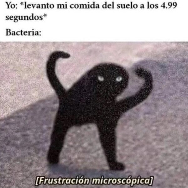 Meme_otros - Esta vez no, bicho