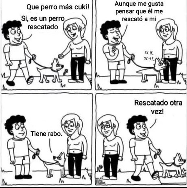 perro,due&ntilde;o,salvar,rescatar