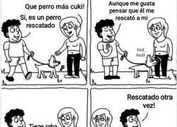 Enlace a ¿Quién salvó a quién?