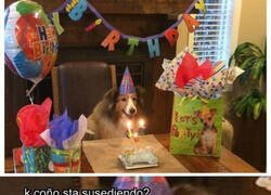 Enlace a El Firulais no sabe que es un cumpleaños