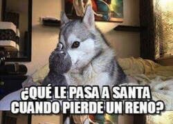 Enlace a Humor navideño