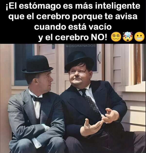 Otros - Hay un órgano más inteligente que el cerebro