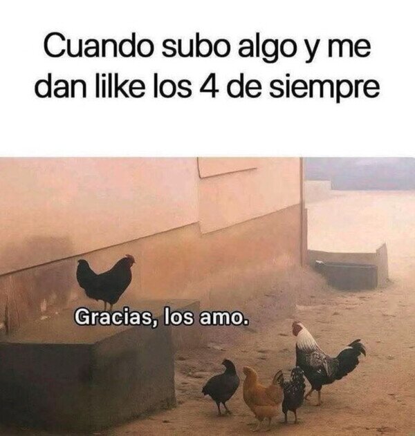 Oh_god_why - Mis fieles seguidores