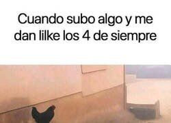 Enlace a Mis fieles seguidores