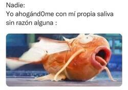 Enlace a Soy más inútil que un Magikarp