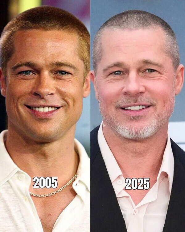 Meme_otros - El tiempo no pasa para Brad