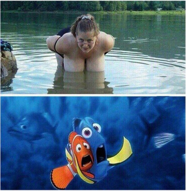 Meme_otros - Asustando a Nemo