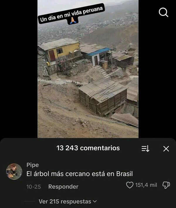 Meme_otros - Un día en mi vida peruana