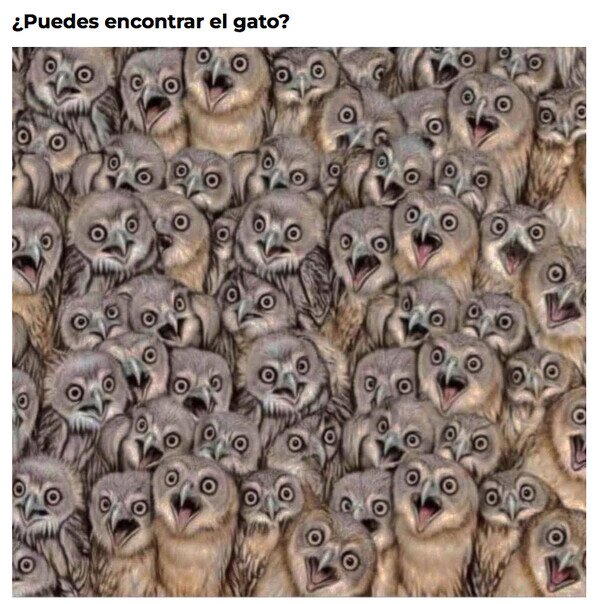 Meme_otros - Aquí hay gato escondido