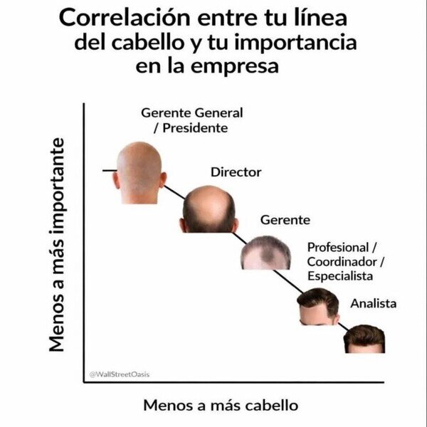 Otros - Cuánto más pelo, más esclavo