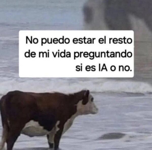 Meme_otros - No podemos seguir así