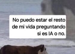 Enlace a No podemos seguir así