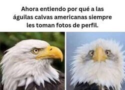 Enlace a De cara pierden majestuosidad