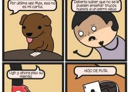 Enlace a Trucos de perro viejo