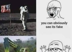 Enlace a Creencias selectivas