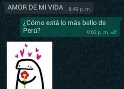 Enlace a El listón no está muy alto