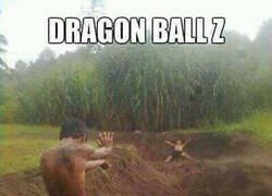 Enlace a Recreación lowcost