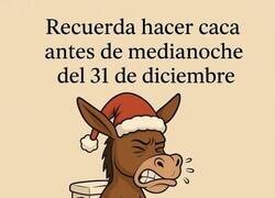 Enlace a Consejo para el cambio de año