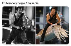 Enlace a Depende del filtro